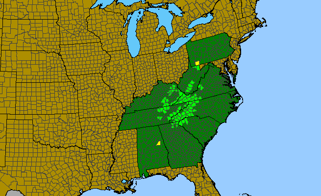 The range of Clethra acuminata